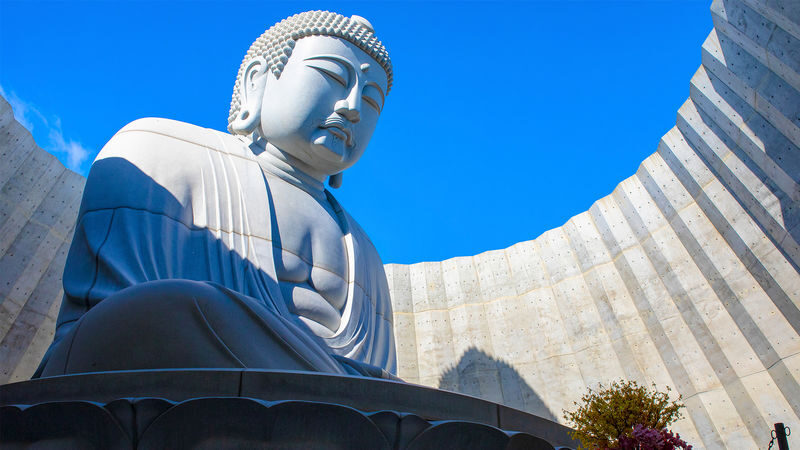 Sapporo One-Day Private Tour - Should you book this Sapporo day?