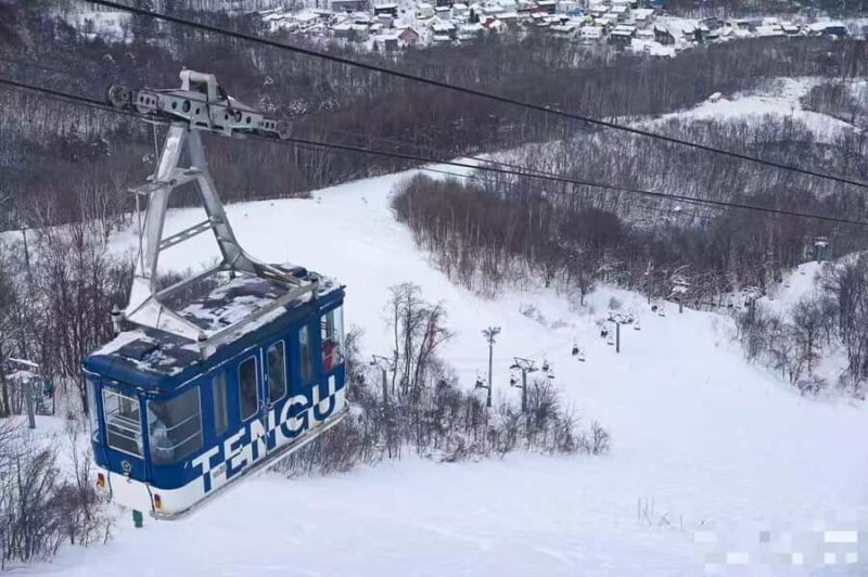 Sapporo: Otaru Day Trip-Mt. Tengu & Aquarium in small group - Good To Know