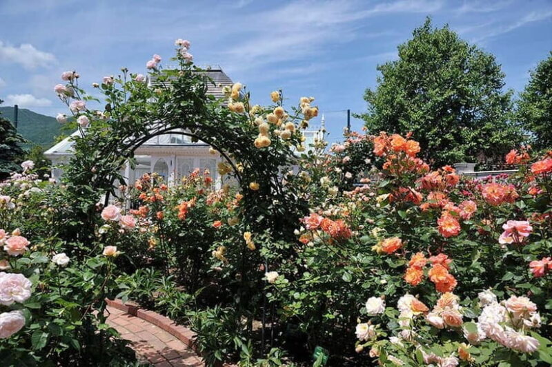 Sapporo: Private Customized Day Tour in Sappro City - Practical Details and Considerations