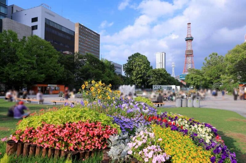 Sapporo: Private Full Day City and Cultural Tour with Guide - Value and Practicalities
