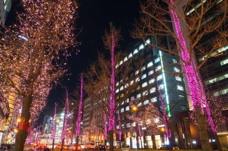 Sapporo Private Walking Christmas Market & Illumination Tour - Enchanting Illumination at Sapporo Kita 3-jo Plaza