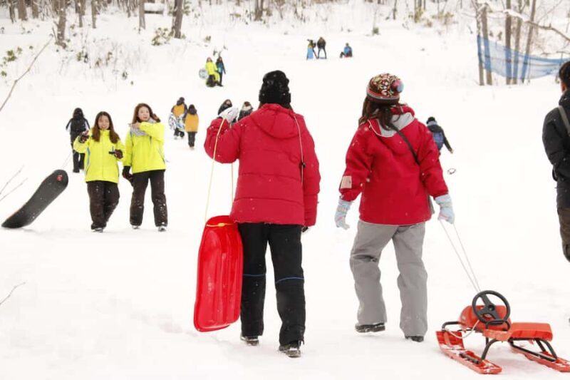 Sapporo: Snow Park, Snowmobile, and BBQ Experience - Good To Know