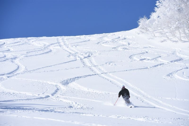 Sapporo Teine Ski Resort with Bus and Lift Ticket - Choosing between Olympia and Highland