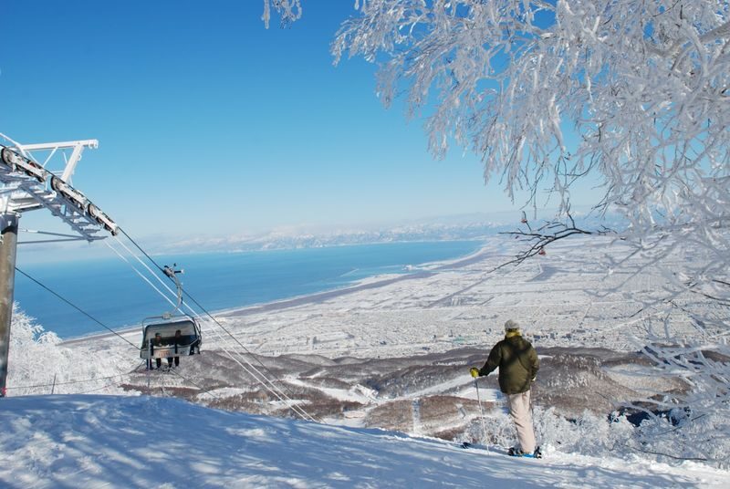 Sapporo Teine Ski Resort with Bus and Lift Ticket - The return ride: know your stop and bus