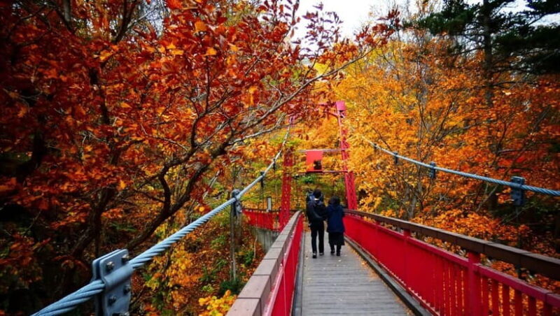 Sapporo: The Indigenous Ainu People & Jozankei walking tour - A Detailed Look at the Tour Experience