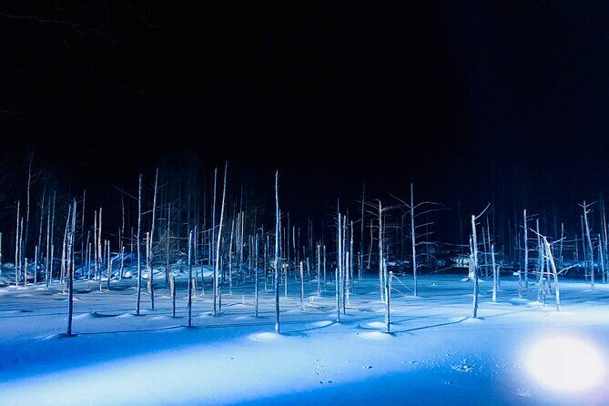 Sapporo to Blue Pond & Shirahige Falls Furano Private Tour - Who Will Love This Tour?