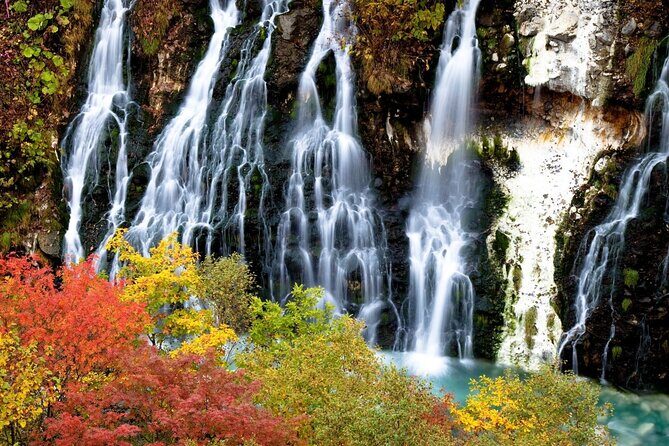 Sapporo to Blue Pond & Shirahige Falls Furano Private Tour - FAQs