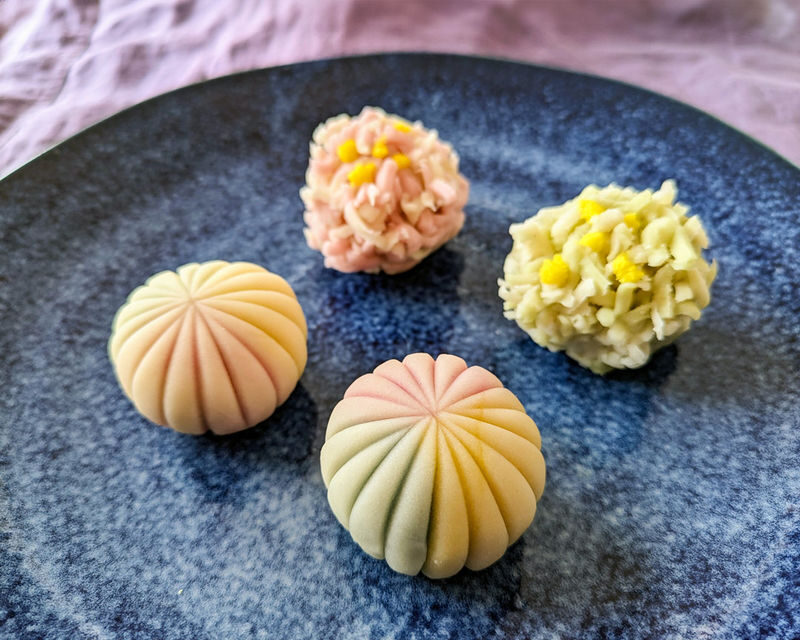 Sapporo Wagashi Sweets Making - Getting to the studio near Makomanai