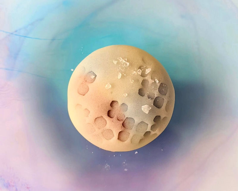 Sapporo Wagashi Sweets Making - Is the class worth the price?