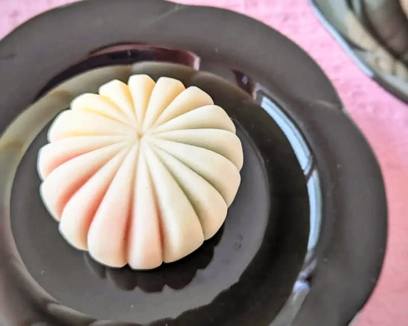 Sapporo Wagashi Sweets Making - Should you book?