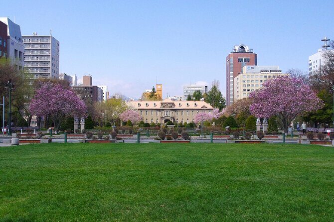 Sapporo Walking Tour: Explore Top Sights & Hidden Gems - Who Will Love This Tour?