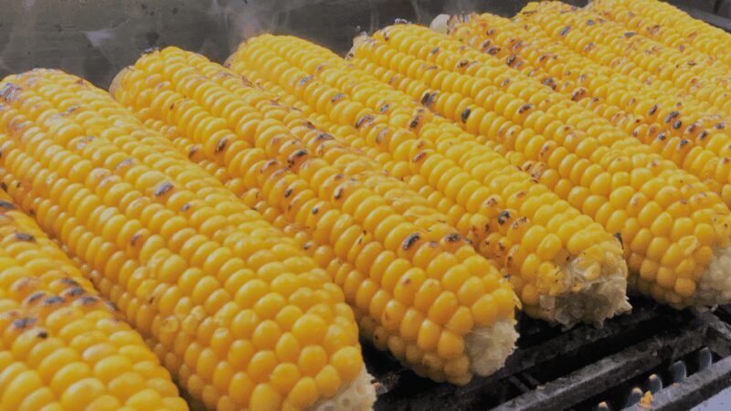 Sapporo Walking Tour - FAQ