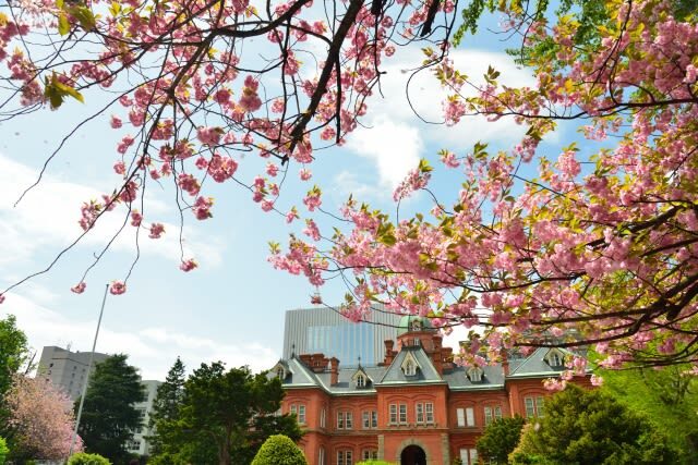 Sapporo Walking Tour (Weekdays) - Odori Park leads to the TV Tower view