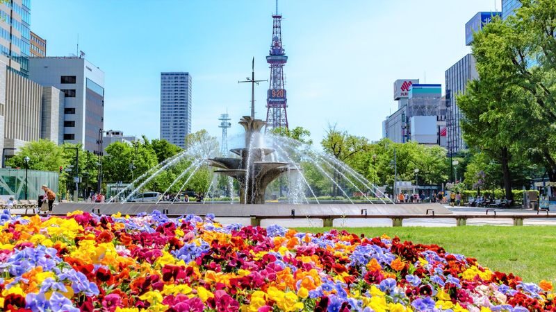 Sapporo Walking Tour (Weekdays) - The guide makes the short route more useful