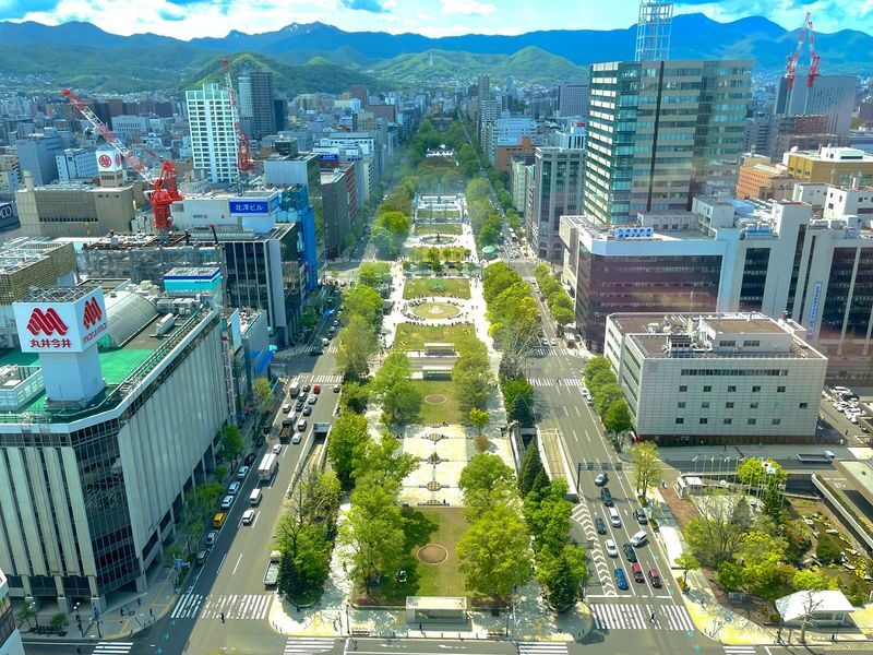 Sapporo Walking Tour (Weekdays) - Winter changes the way the walk works