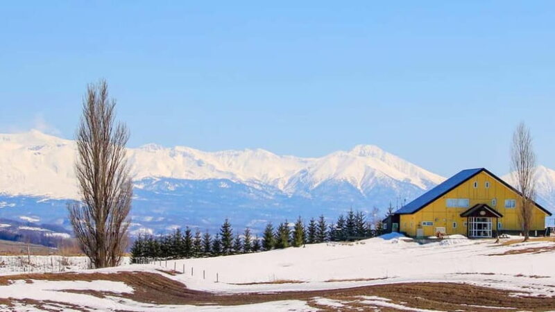 Sapporo Winter : Asahiyama Zoo (Penguin Fun & Snowmobile) - Final Thoughts