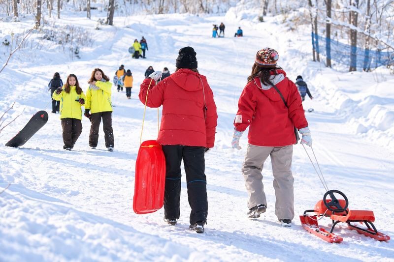 Sapporo | Wonderland Sapporo Snow Park Half-Day Tour | Includes Genghis Khan BBQ | Sapporo City Hotel Pick-up - Who should book this Sapporo snow tour?