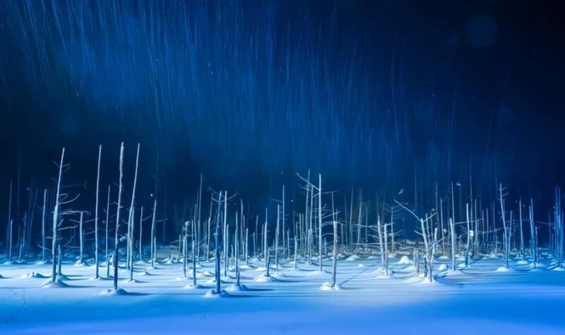 Sapporo:Asahiyama Zoo,Shirahige Waterfall&Blue Pond Day Trip - Overview of the Tour Experience