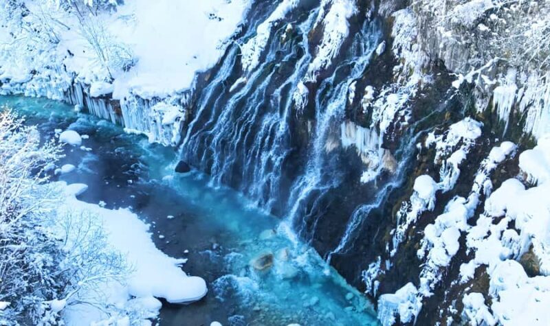 Sapporo:Asahiyama Zoo,Shirahige Waterfall&Blue Pond Day Trip - The Blue Pond: A Surreal Forest Retreat