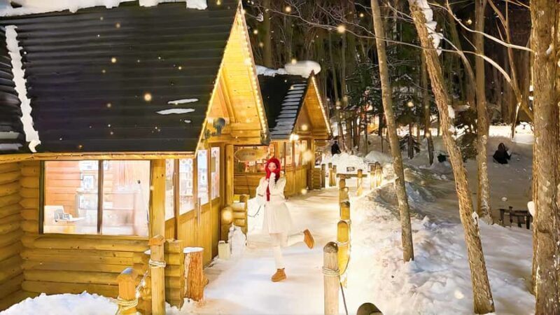 Sapporo:Asahiyama Zoo,Shirahige Waterfall&Blue Pond Day Trip - Who Should Consider This Tour?