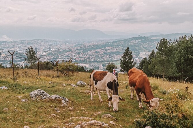 Sarajevo City Tour: Urban Hike off the Beaten Path - Additional Information
