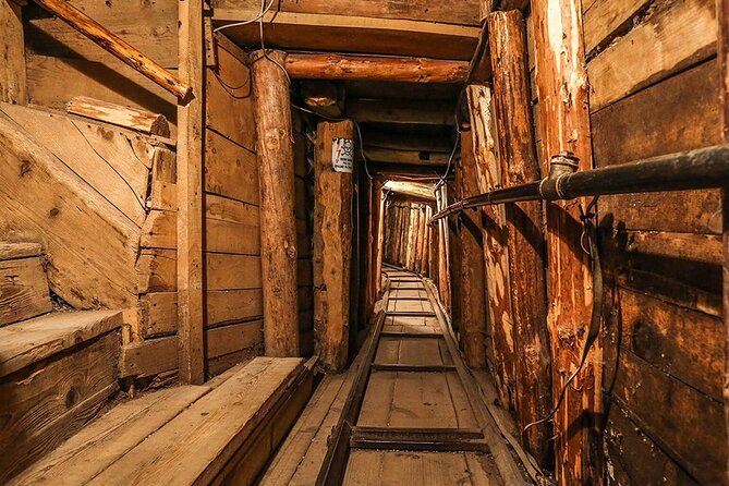 Sarajevo - Private Excursion From Dubrovnik With Mercedes Vehicle - Booking Information