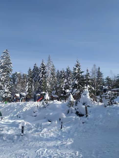 Sarajevo Sport tour: Olympic Mountains and Stadium Tour - Good To Know