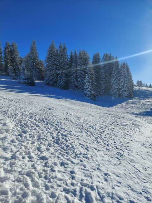 Sarajevo Sport tour: Olympic Mountains and Stadium Tour - Authentic Experiences and Insights from Reviewers