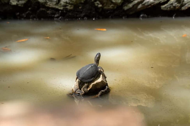 Saranda 1-Day: Butrint, Ksamil, Blue Eye & Lekuresi Castle - Saranda 1-Day: Butrint, Ksamil, Blue Eye & Lekurësi Castle — An In-Depth Review