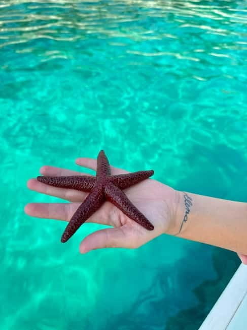 Sarande: Secrets of South Ksamil Hidden Isles & Caslte Ruins - Good To Know