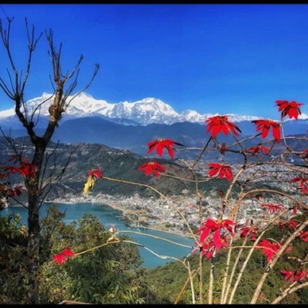 Sarangkot Himalayan Sunrise & Pokhara Guided Private Tour - Duration and Availability