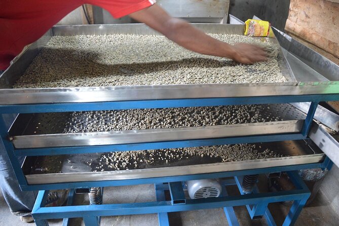 Sarangkot Village Coffee Culture and Authentic Local Life Tour - Coffee Culture Experience