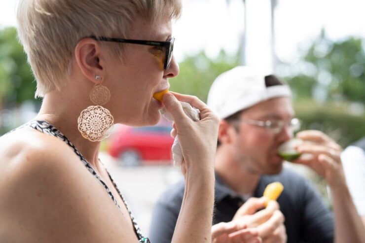 Sarasota: Evening Sip and Dine Tour - Tour Highlights