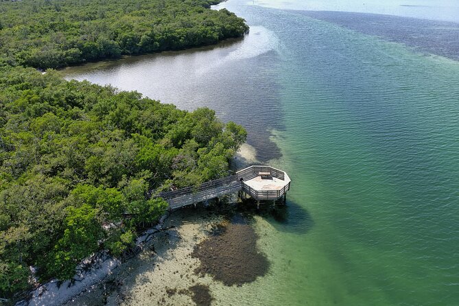 Sarasota Glass-Bottom Kayak Rental (Feb ) - Rental Options