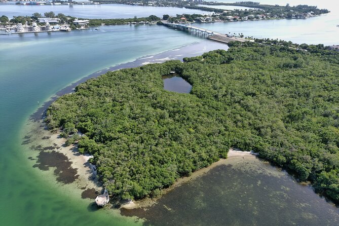 Sarasota Glass-Bottom Kayak Rental (Feb ) - Included Equipment