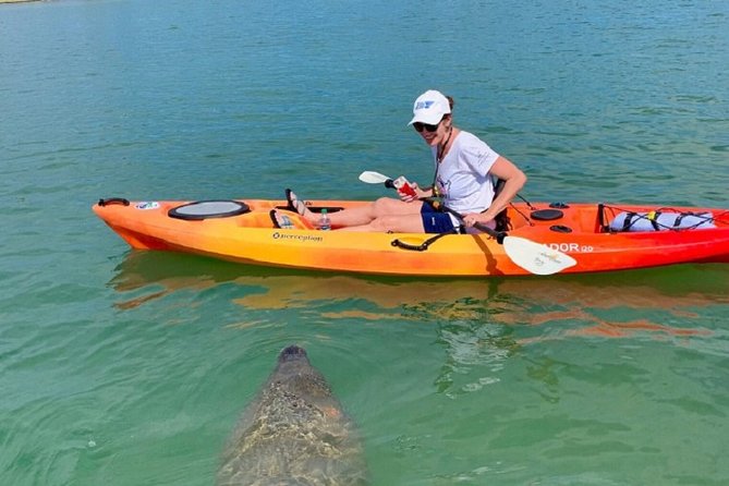Sarasota Guided Mangrove Tunnel Kayak Tour - Inclusions