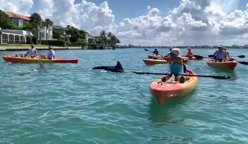 Sarasota: Guided Mangrove Tunnel Kayak Tour Lido Key - Who Will Love This Tour?