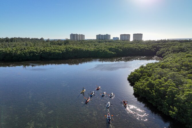 Sarasota Mangroves Kayaking Small-Group Tour - Pricing and Booking