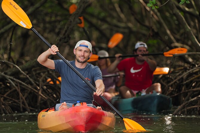 Sarasota Mangroves Kayaking Small-Group Tour - Tour Overview