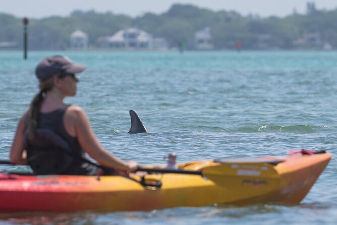 Sarasota Mangroves Kayaking Small-Group Tour - Meeting and Pickup