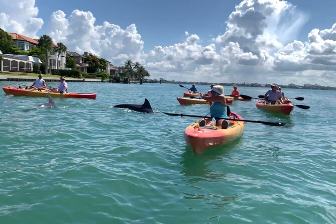 Sarasota Mangroves Kayaking Small-Group Tour - Additional Information