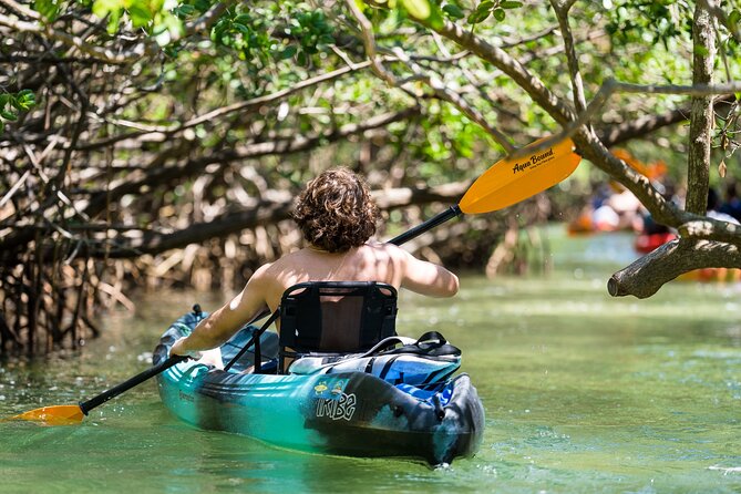 Sarasota Mangroves Kayaking Small-Group Tour - Common Questions