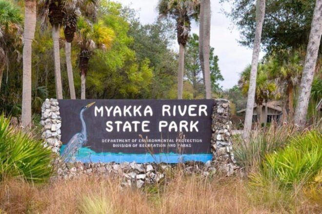 Sarasota: Myakka State Park E-bike Safari Experience - Included Amenities