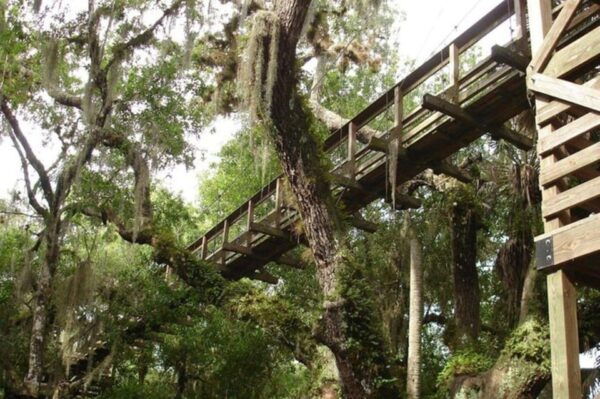 Sarasota: Myakka State Park E-bike Safari Experience - Expert Naturalist Guides