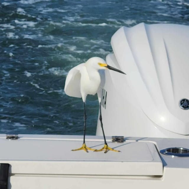 Sarasota Sunset Charter - Booking Information