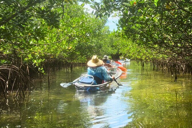 Sarasota Waterways Tour for All Ages - Good To Know