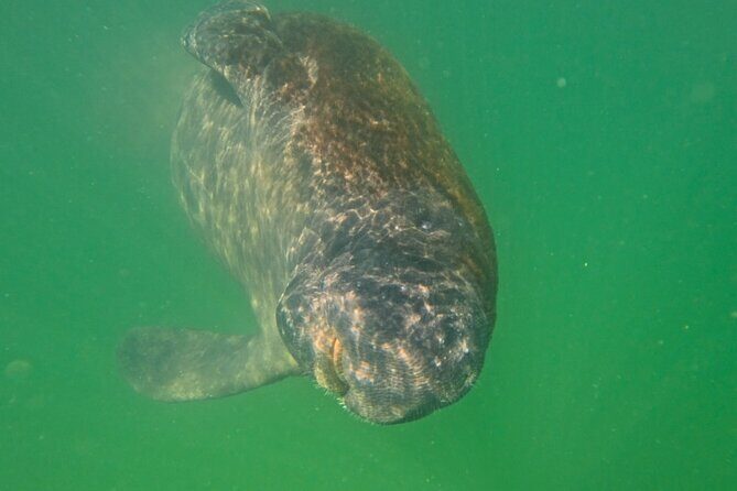 Sarasota Waterways Tour for All Ages - Detailed Breakdown of the Itinerary