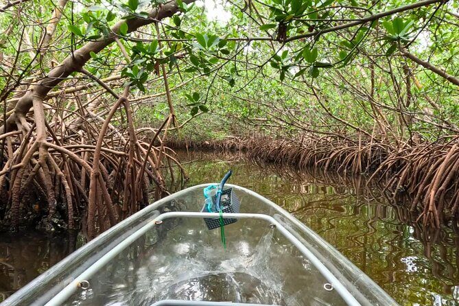 Sarasota Waterways Tour for All Ages - Value for Money
