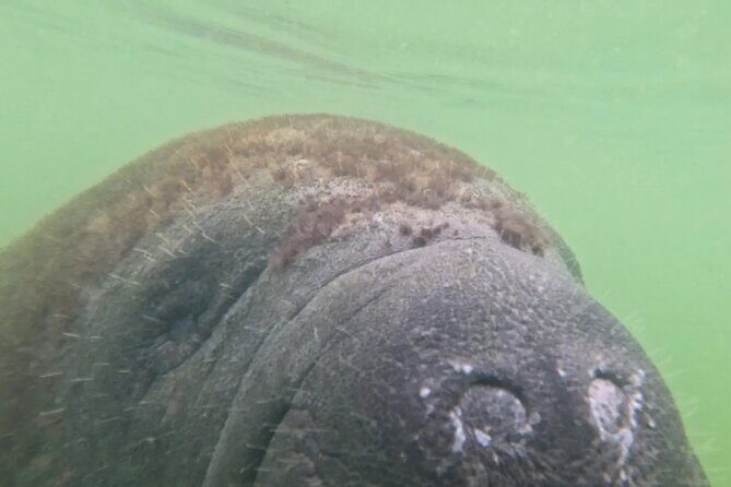 Sarasota Waterways Tour for All Ages - Who Will Love This Tour?