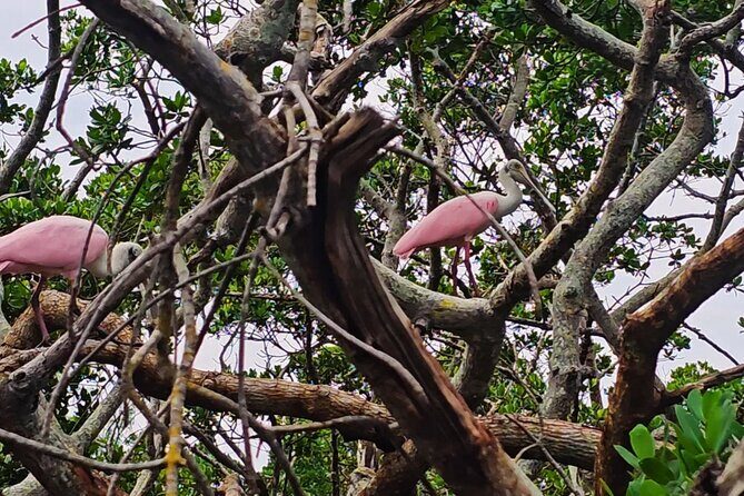 Sarasota Waterways Tour for All Ages - Frequently Asked Questions